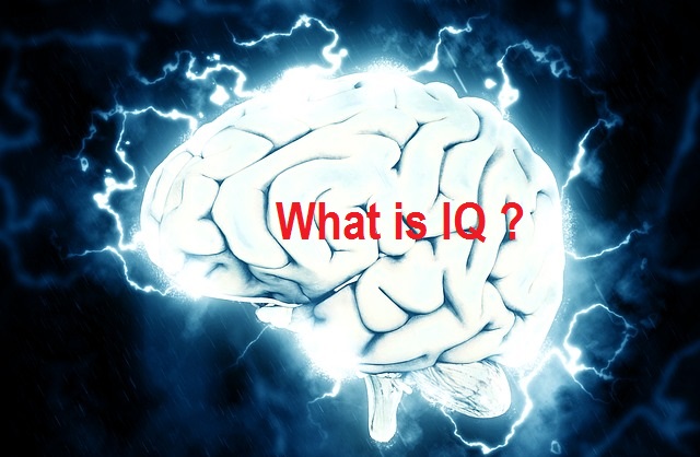 What Is Iq In Psychology Pdf